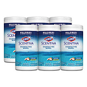 Clorox 31767 Disinfecting Wipes