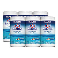 Clorox 31767 Disinfecting Wipes
