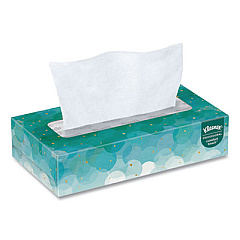 Kleenex White Facial Tissue, 2-Ply, White, 100 Sheets/Box, 10 Boxes/Bundle, 6 Bundles/Carton (13216)