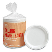 Perk 24394010 Compostable Paper Plates