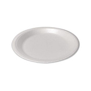 Plastifar Foam Dinnerware, Plate, 9" dia, Poly Bag, White, 125/Sleeve, 4 Sleeves/Pack (12040)