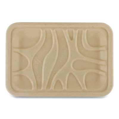 World Centric Fiber Trays, 1-Compartment, 8.2 x 5.7 x 0.7, Natural, 500/Carton (TRSC2S)