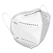 GN1 KN95 FACE MASK, 10/PACK (KN955)