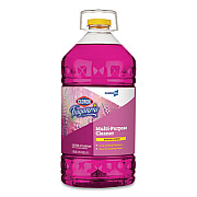 Clorox Fraganzia Multi-Purpose Cleaner, Spring Scent, 175 oz Bottle (31524EA)
