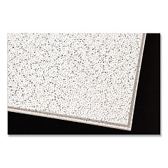 Armstrong CORTEGA ANGLED TEGULAR CEILING TILES, 24" X 24" X 1", WHITE, 16/CARTON (24365378)