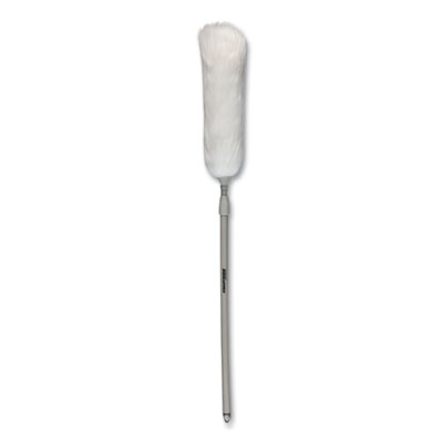 Coastwide Professional Extendable Lambswool Duster, 45" Extension Handle (24418467)