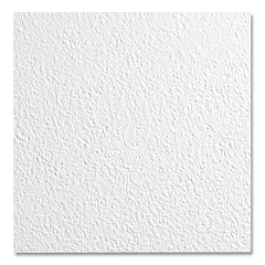 Armstrong 24365373 Kitchen Zone Ceiling Tiles
