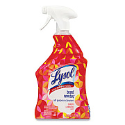 LYSOL Brand Ready-to-Use All-Purpose Cleaner, Mango and Hibiscus, 32 oz Spray Bottle, 9/Carton (98769)