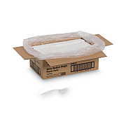 Dixie Plastic Cutlery, Mediumweight Fork, Plastic, White, 1,000/Carton (PFM21)