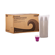 Boardwalk Translucent Plastic Cold Cups, 3 oz, 125/Sleeve, 20 Sleeves/Carton (TRANSCUP3CT)