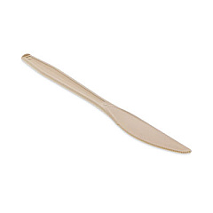 Pactiv Evergreen EarthChoice PSM Cutlery, Heavyweight Knife, Plastic, Tan, 1,000/Carton (YPSMKTEC)