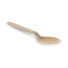Pactiv Evergreen EarthChoice PSM Cutlery, Heavyweight Spoon, Plastic, Tan, 1,000/Carton (YPSMSTEC)