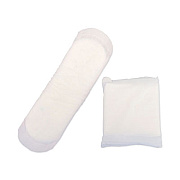 HOSPECO Generic Packaged Sanitary Pads, Regular Absorbency, 500/Carton (500IM)