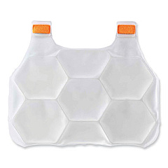 ergodyne Chill-Its 6220 Phase Change Cooling Vest Charge Packs, Small/Medium, 16.25 x 12, 2/Pack (12201)