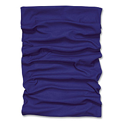 ergodyne Chill-Its 6485 Multi-Band, Polyester, One Size Fits Most, Blue (42120)