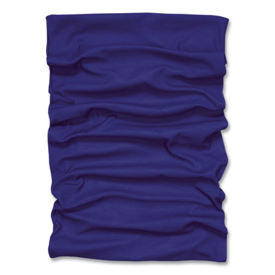 ergodyne Chill-Its 6485 Multi-Band, Polyester, One Size Fits Most, Blue (42120)