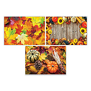 Hoffmaster Placemats, Three Autumn Days Photo Designs, Smooth Surface, Straight Edges, 14" x 10", Multicolor, 1,000/Carton (702081)
