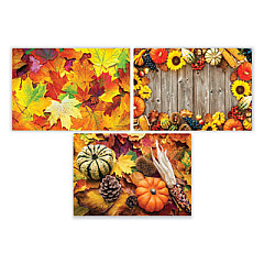 Hoffmaster Placemats, Three Autumn Days Photo Designs, Smooth Surface, Straight Edges, 14" x 10", Multicolor, 1,000/Carton (702081)