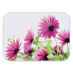 Hoffmaster Straight Edge Traymat, Bright Daisy Photography, Smooth Surface, 19" x 14", Violet/Green/White, 500/Carton (832775)