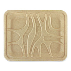 World Centric Fiber Meat and Produce Trays, 7.1 x 9.1 x 0.7, Natural, Paper, 500/Carton (TRSC4SLFS)