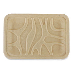 World Centric Fiber Meat and Produce Trays, 5.7 x 8.2 x 0.6, Natural, Paper, 500/Carton (TRSC2SLFS)