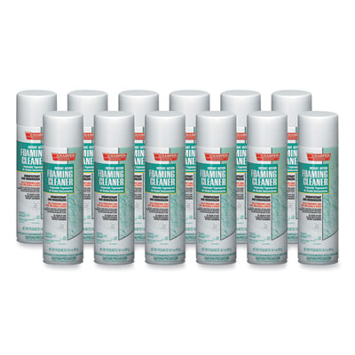 Chase Products Instant Action Foaming Cleaner/Disinfectant, 17 oz, Aerosol Spray, 12/Carton (5196)