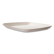 Eco-Products Regalia Renewable Sugarcane Tray, 10.24 x 16.54, White, Sugarcane, 100/Carton (EPSCTRS16NFA)
