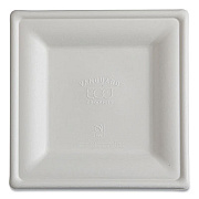 Eco-Products Vanguard Renewable and Compostable Sugarcane Plates, 10 x 10, White, 250/Carton (EPP023NFA)