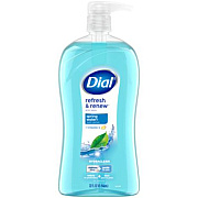 Dial Body Wash, Spring Water Scent, 32 oz, 4/Carton (11857)
