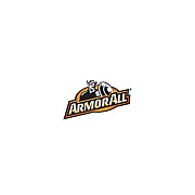 Armor All Original Car Protectant Wipes (17496C)